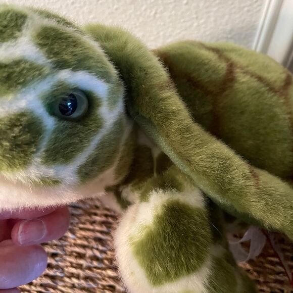 Douglas Turtle and Seagull Plush Animals - Picture 6 of 15